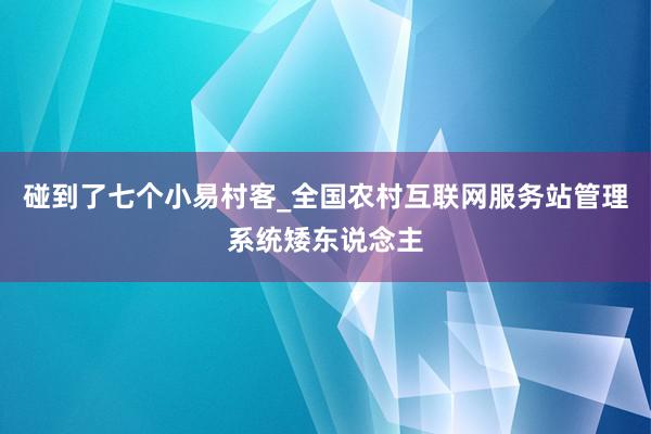 碰到了七个小易村客_全国农村互联网服务站管理系统矮东说念主